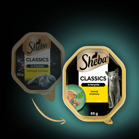 SHEBA Classics tacka 85 g – mokra karma pełnoporcjowa dla dorosłych kotów, koktajl drobiowy, w terynie
