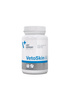 Vetexpert Vetoskin 60tab.