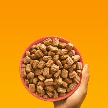 Pedigree Adult PN z wołowiną i warzywami 12 kg