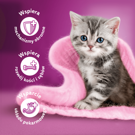 WHISKAS Junior saszetka 4 x 85 g Klasyczne Posiłki - mokra karma pełnoporcjowa dla kociąt, w sosie (z kawałkami: z wołowiną, z kurczakiem)