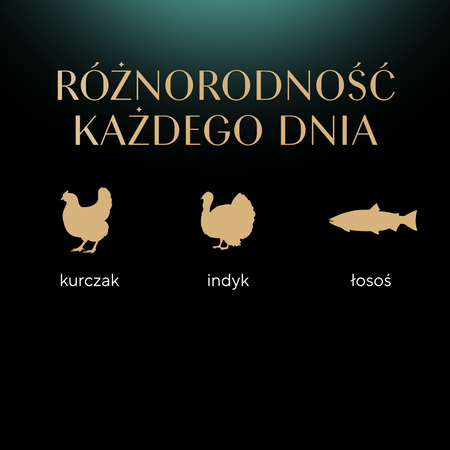 Sheba Fresh Fine kurczak łosoś indyk w sosie 6x50g