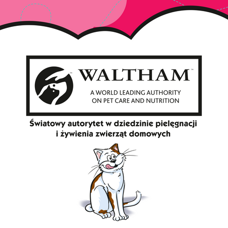 Dreamies z wołowiną przysmaki dla kota 3x 60g