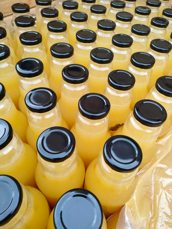 Gospodarstwo Sadownicze Paweł Bieńkowski