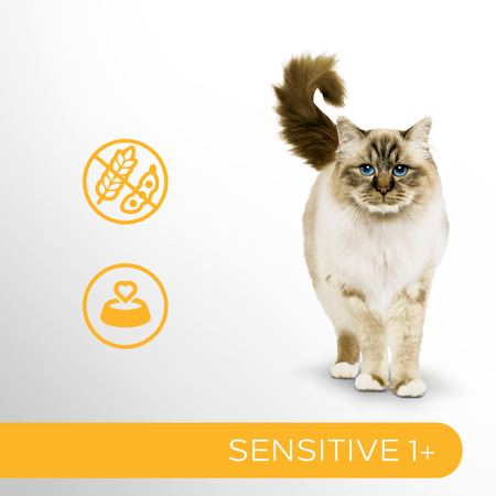 Perfect Fit™ Sensitive 1+ 750 g – sucha karma pełnoporcjowa dla dorosłych kotów, bogata w indyka