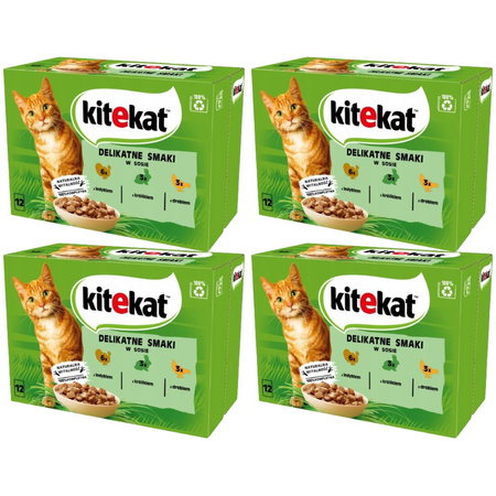 Kitekat indyk królik drób w sosie 4x 12x 85g
