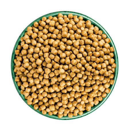 James Wellbeloved Adult 4 kg – sucha karma pełnoporcjowa dla dorosłych kotów 1-7 lat, bogata w rybę