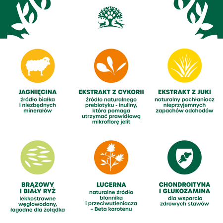 James Wellbeloved Senior 12 kg – sucha karma pełnoporcjowa dla starszych psów >7 lat, bogata w jagnięcinę i ryż