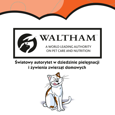 DREAMIES 60g - przysmak dla kota z pysznym kurczakiem