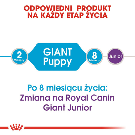 ROYAL CANIN Giant Puppy karma sucha dla szczeniąt, od 2 do 8 miesiąca życia, ras olbrzymich 15kg