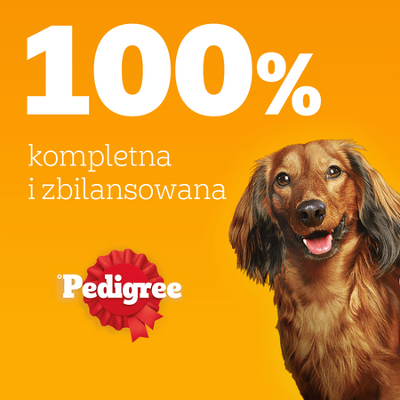 Pedigree Senior Wybór Smaków w galaretce 12x 100g
