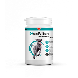 Vetoquinol Caniviton Forte Plus 90tab.