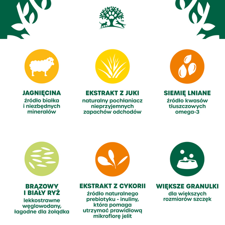 James Wellbeloved Adult 10 kg – sucha karma pełnoporcjowa dla dorosłych psów dużych ras >14 miesięcy - 10 lat, bogata w jagnięcinę i ryż