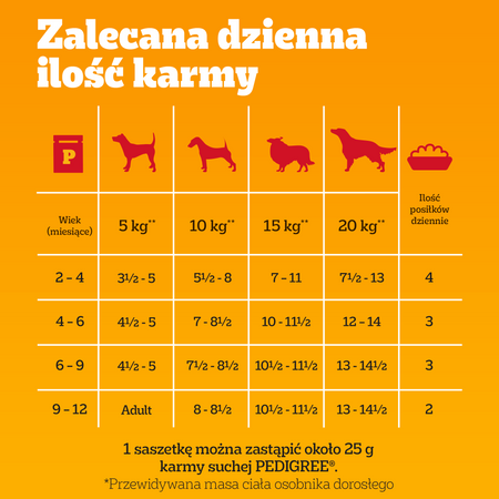 Pedigree Junior Wybór Smaków z ryżem w galaretce 12x 100g