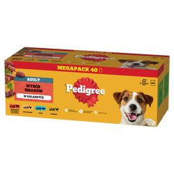 Pedigree Adult Wybór Smaków w galaretce 40x100g