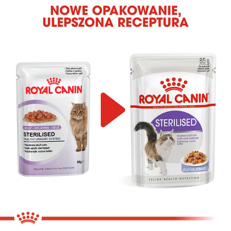 ROYAL CANIN Sterilised w galaretce
