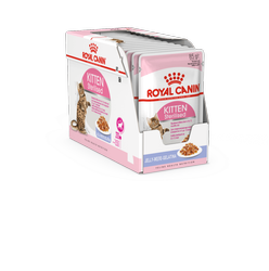 ROYAL CANIN Kitten Sterilised w galaretce karma mokra w galaretce dla kociąt do 12 miesiąca życia, sterylizowanych