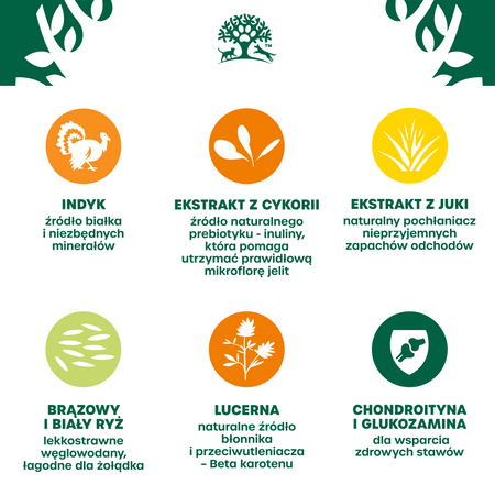 James Wellbeloved Senior 2 kg – sucha karma pełnoporcjowa dla starszych psów >7 lat, bogata w indyka i ryż