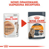 ROYAL CANIN Intense Beauty w sosie karma mokra w sosie dla kotów dorosłych, zdrowa skóra, piękna sierść