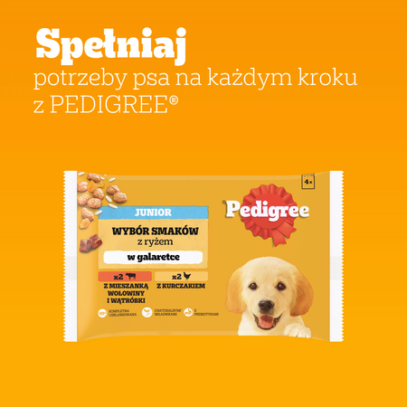 Pedigree Junior Wybór Smaków z ryżem w galaretce 4x 100g