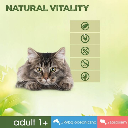 Perfect Fit Adult łosoś ryby morskie sos 6x 50g