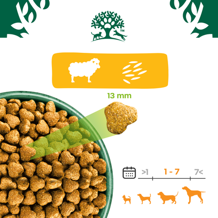 James Wellbeloved Adult 2 kg – sucha karma pełnoporcjowa dla dorosłych psów 1-7 lat, bogata w jagnięcinę i ryż