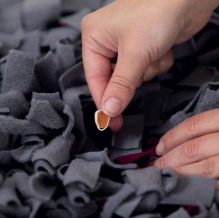 Trixie Gra aktywizująca Sniffing Carpet 50x34cm