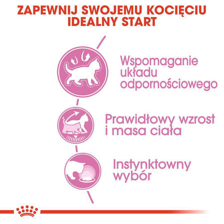 ROYAL CANIN Kitten Sterilised w sosie karma mokra w sosie dla kociąt do 12 miesiąca życia, sterylizowanych