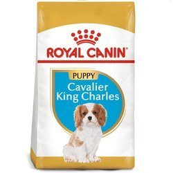 ROYAL CANIN Cavalier King Charles Spaniel Puppy