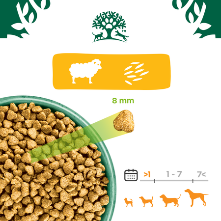 James Wellbeloved Junior 2 kg – sucha karma pełnoporcjowa dla szczeniąt <14 miesięcy, bogata w jagnięcinę i ryż