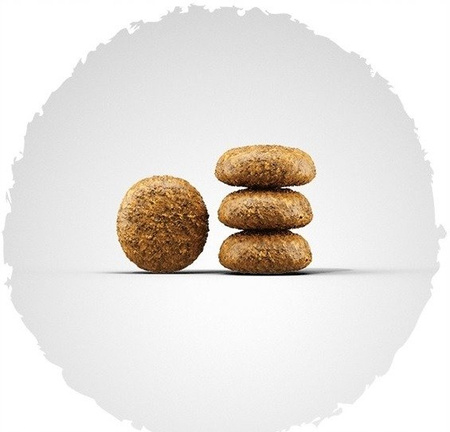 JOSERA Miniwell - karma dla psów małych ras 900g