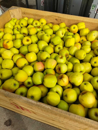 Gospodarstwo Sadownicze Paweł Bieńkowski