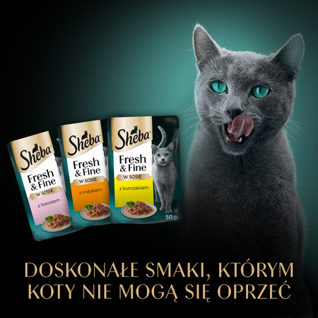 Sheba Fresh Fine kurczak łosoś indyk w sosie 6x50g