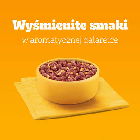 Pedigree Adult Protein+ mix smaków w galaretce 4x 85g