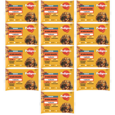 Pedigree Senior Wybór Smaków w galaretce 13x 4x 100g