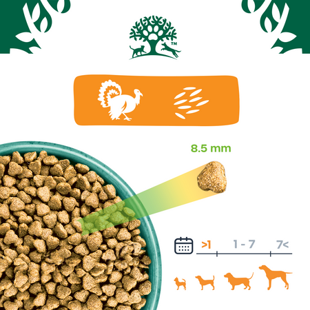 James Wellbeloved Junior 2 kg – sucha karma pełnoporcjowa dla szczeniąt <14 miesięcy, bogata w indyka i ryż