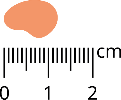 Pan Mięsko Cielęcina z indykiem M 3kg