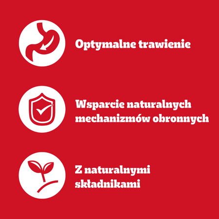 Pedigree Adult Wybór Smaków w galaretce 4x 100g