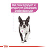 ROYAL CANIN CCN Relax Care karma mokra 12x85g