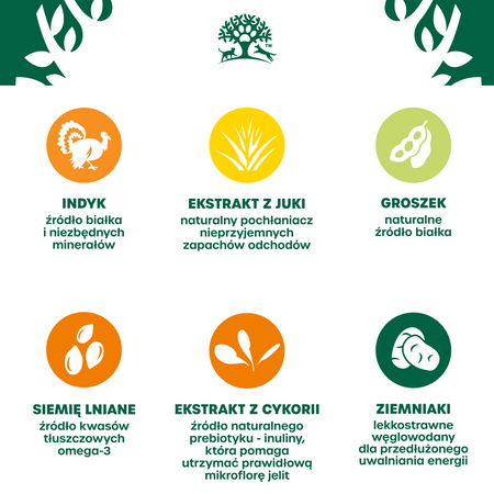 James Wellbeloved Adult 10 kg – bezzbożowa sucha karma pełnoporcjowa dla dorosłych psów 1-7 lat, bogata w indyka i warzywa