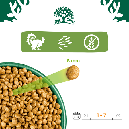 James Wellbeloved Adult 1,5 kg – bezzbożowa sucha karma pełnoporcjowa dla dorosłych kotów 1-7 lat, bogata w indyka