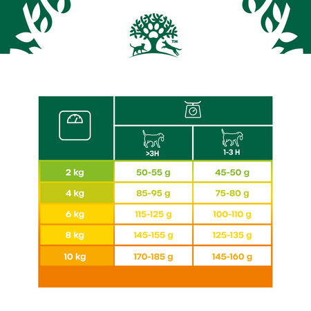 James Wellbeloved Adult 1,5 kg – sucha karma pełnoporcjowa dla dorosłych psów małych ras 6 miesięcy - 10 lat, bogata w indyka i ryż