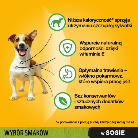 PEDIGREE Adult saszetka 24x100 g - Wybór Smaków z Warzywami w Sosie - mokra karma pełnoporcjowa dla dorosłych psów