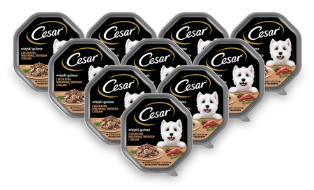 CESAR tacka 14x150g – mokra karma pełnoporcjowa dla dorosłych psów, w sosie, z delikatną wołowiną, indykiem i ziołami
