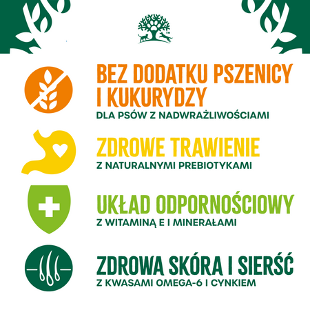 James Wellbeloved Adult 2 kg – sucha karma pełnoporcjowa dla dorosłych psów 1-7 lat, bogata w indyka i ryż