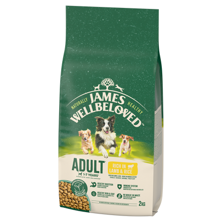 James Wellbeloved Adult 2 kg – sucha karma pełnoporcjowa dla dorosłych psów 1-7 lat, bogata w jagnięcinę i ryż