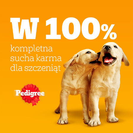 Pedigree Junior z wołowiną 2,6 kg