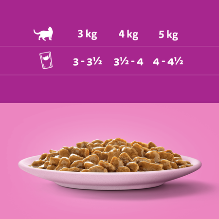 WHISKAS Adult saszetka łosoś 28x85 g