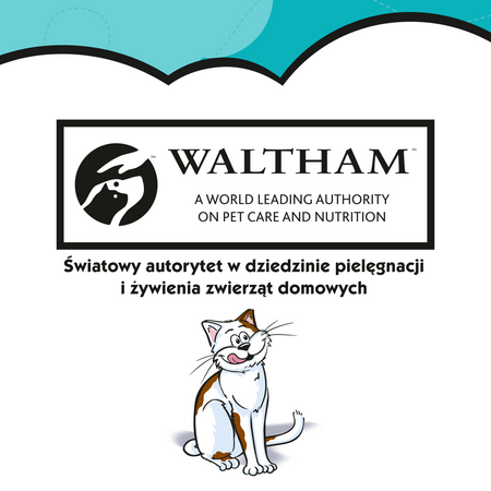 DREAMIES 60g – przysmak dla kota, o smaku wybornego łososia