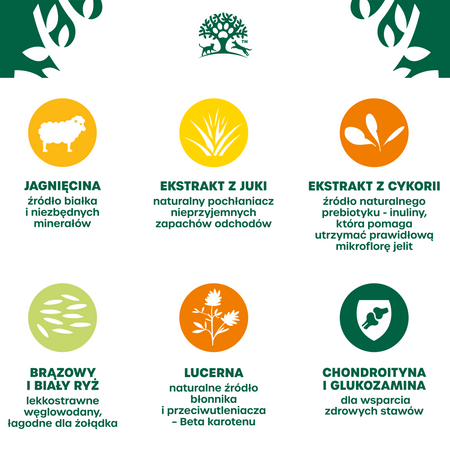 James Wellbeloved Senior 2 kg – sucha karma pełnoporcjowa dla starszych psów >7 lat, bogata w jagnięcinę i ryż