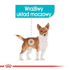 ROYAL CANIN CCN Urinary Care karma mokra 12x85g